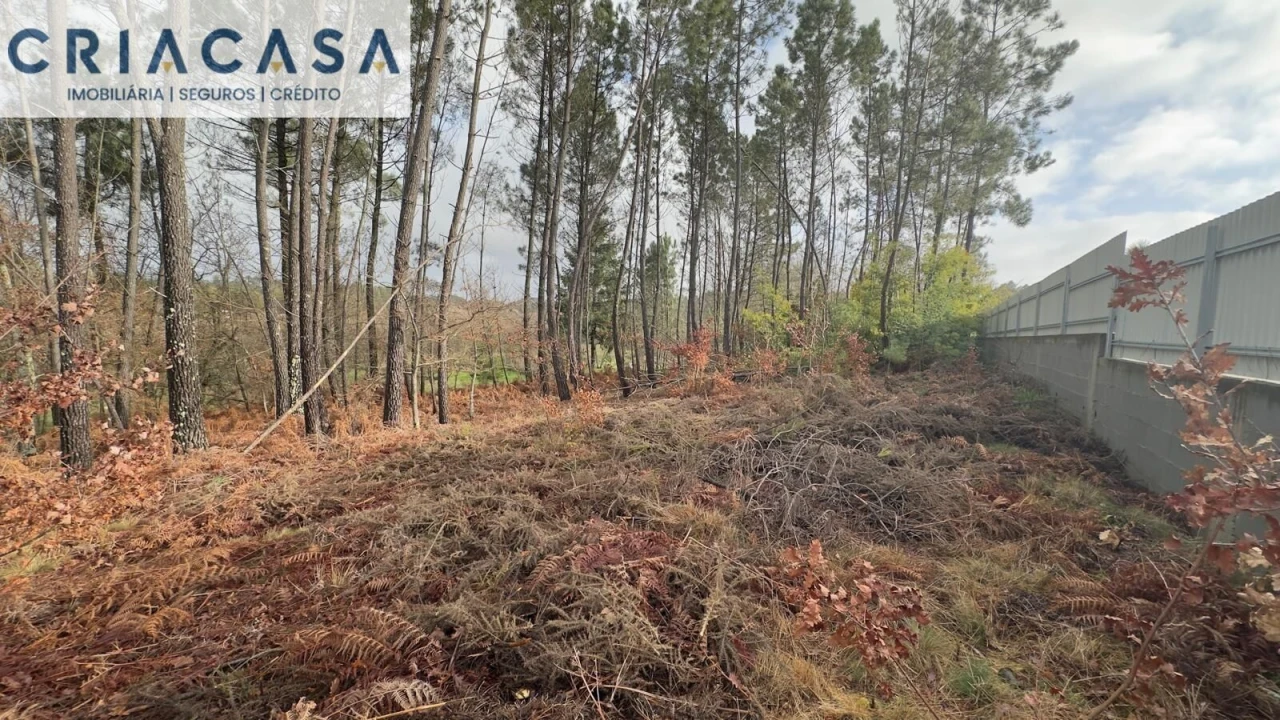 Terreno para Venda em Mundão Foto 9