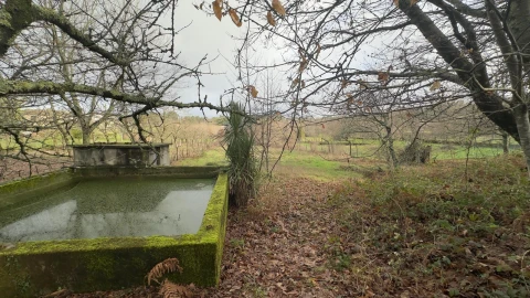 Terreno para Venda em Mundão