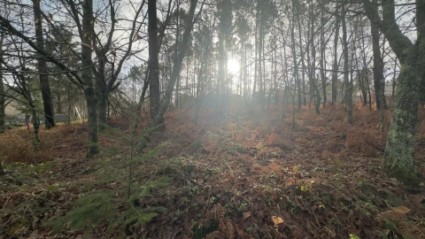 Terreno para Venda em Mundão