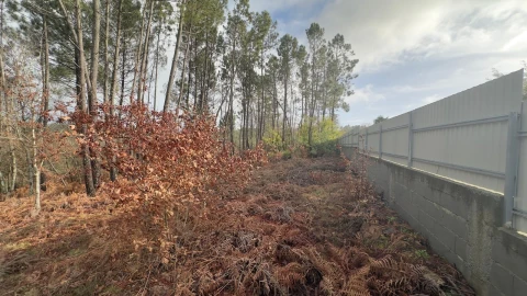 Terreno para Venda em Mundão