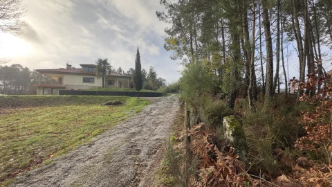 Terreno para Venda em Mundão