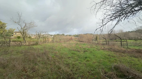 Terreno para Venda em Mundão