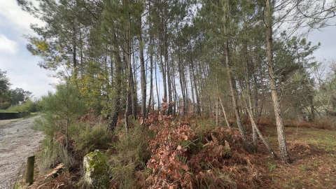 Terreno para Venda em Mundão