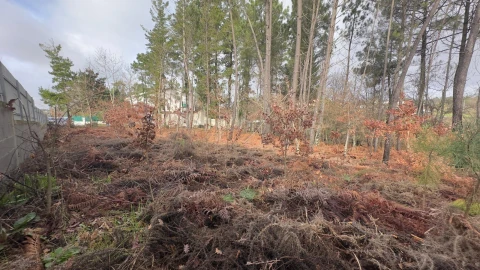 Terreno para Venda em Mundão