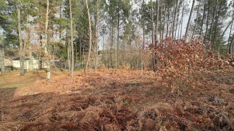 Terreno para Venda em Mundão