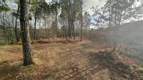 Terreno para Venda em Mundão