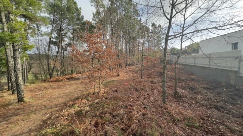 Terreno para Venda em Mundão