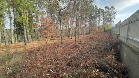 Terreno para Venda em Mundão