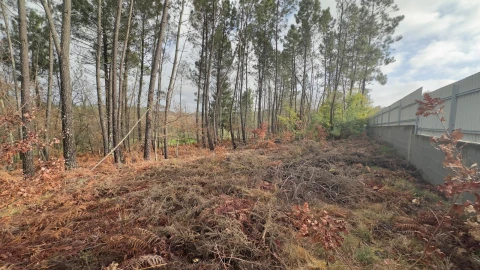 Terreno para Venda em Mundão
