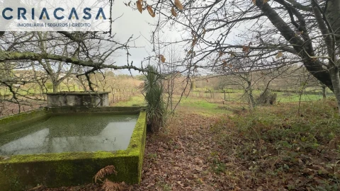 Terreno para Venda em Mundão