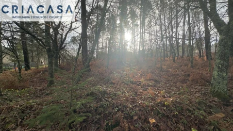 Terreno para Venda em Mundão