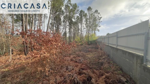 Terreno para Venda em Mundão