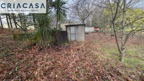Terreno para Venda em Mundão