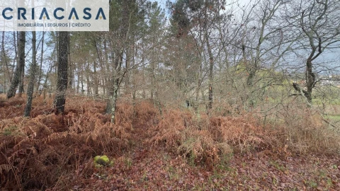 Terreno para Venda em Mundão