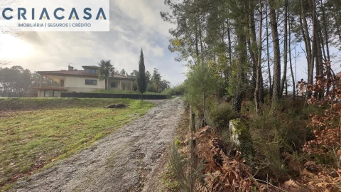 Terreno para Venda em Mundão