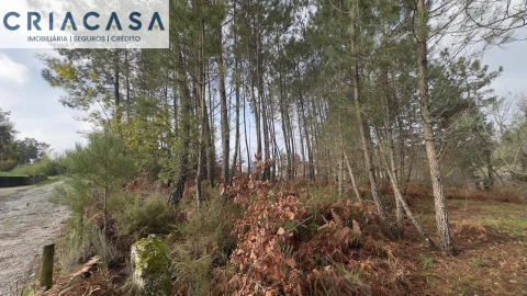 Terreno para Venda em Mundão