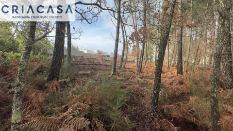 Terreno para Venda em Mundão