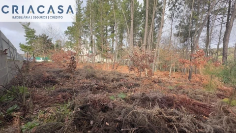 Terreno para Venda em Mundão