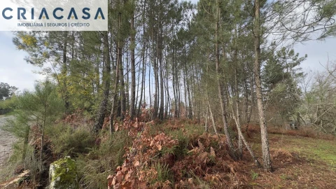 Terreno para Venda em Mundão
