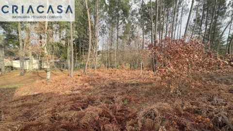 Terreno para Venda em Mundão