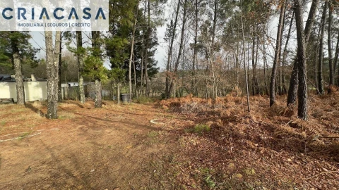 Terreno para Venda em Mundão