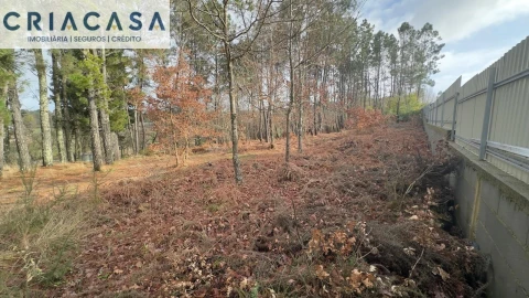 Terreno para Venda em Mundão