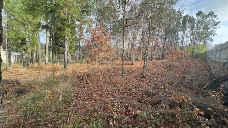 Terreno para Venda em Mundão Foto 10