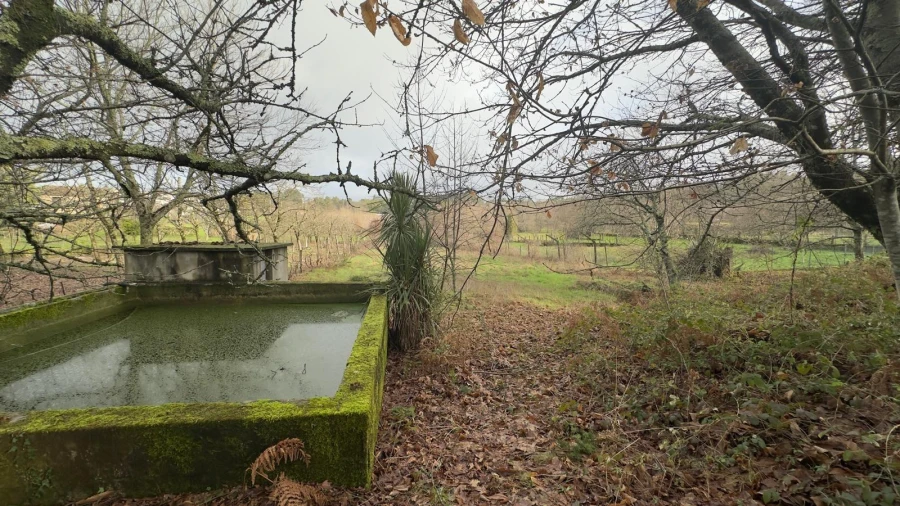 Terreno para Venda em Mundão Foto 12