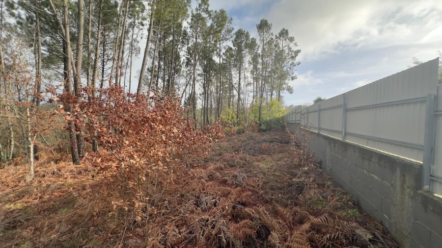 Terreno para Venda em Mundão Foto 14