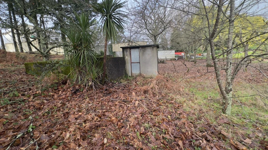 Terreno para Venda em Mundão Foto 15