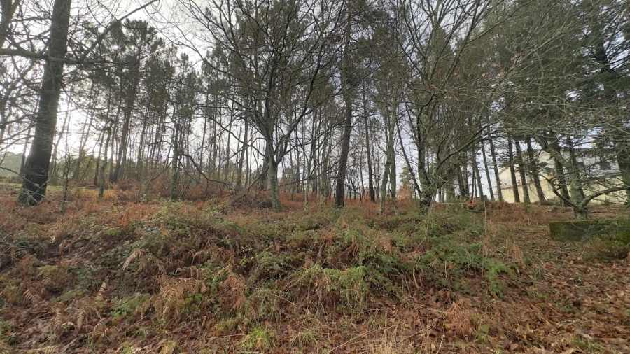 Terreno para Venda em Mundão Foto 16