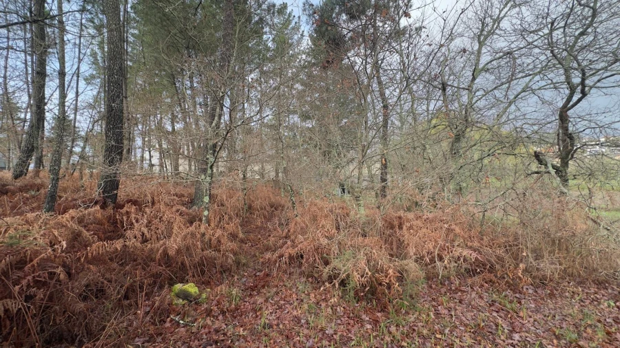 Terreno para Venda em Mundão Foto 17
