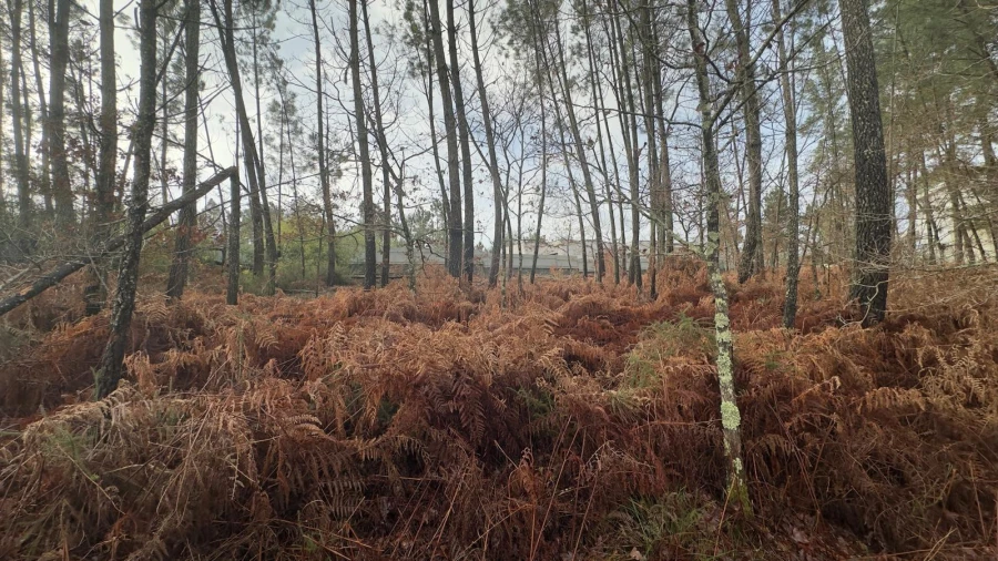 Terreno para Venda em Mundão Foto 18