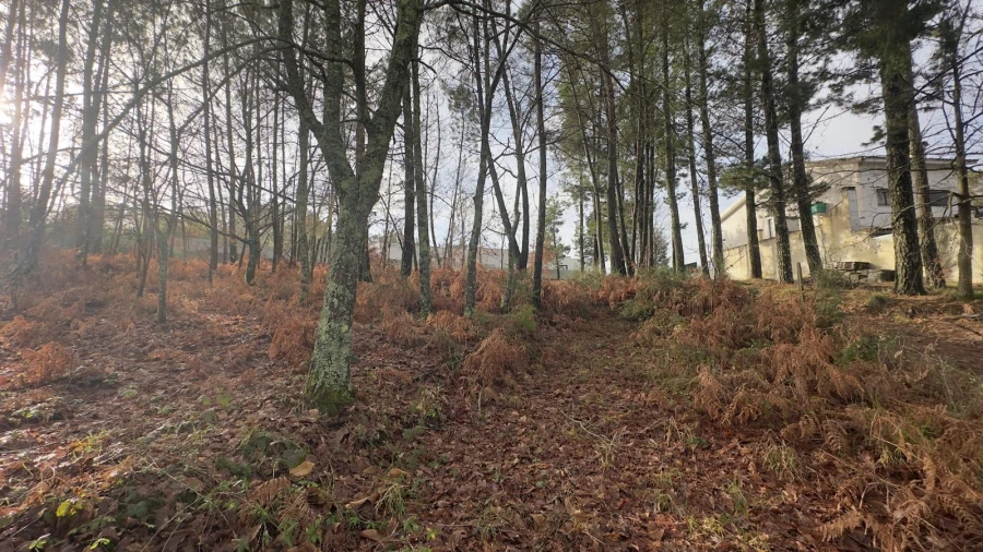 Terreno para Venda em Mundão Foto 21