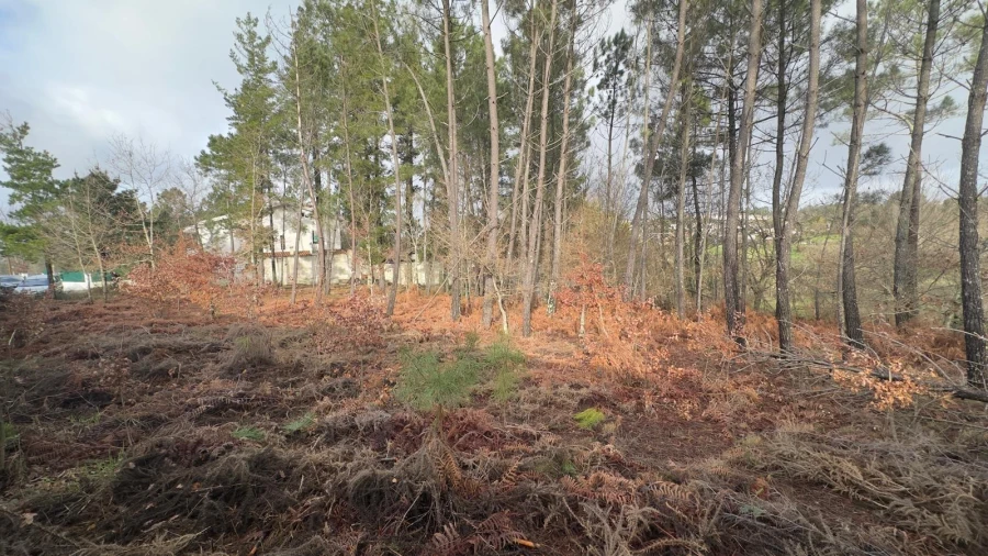 Terreno para Venda em Mundão Foto 25