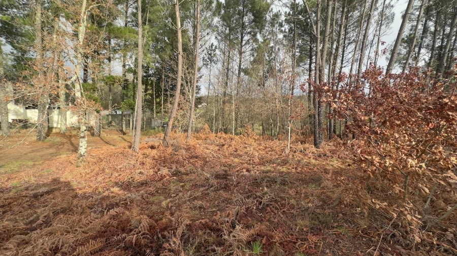 Terreno para Venda em Mundão Foto 4