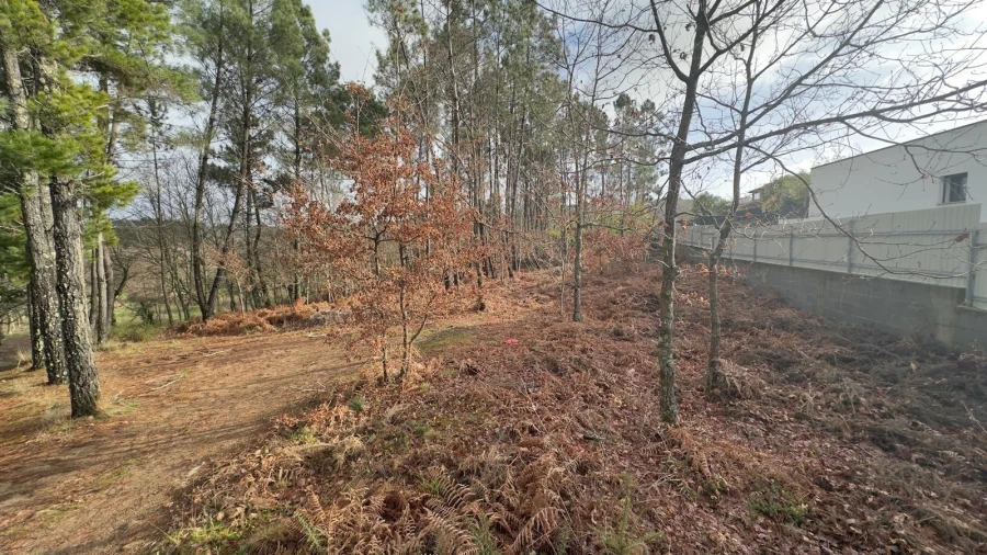 Terreno para Venda em Mundão Foto 7