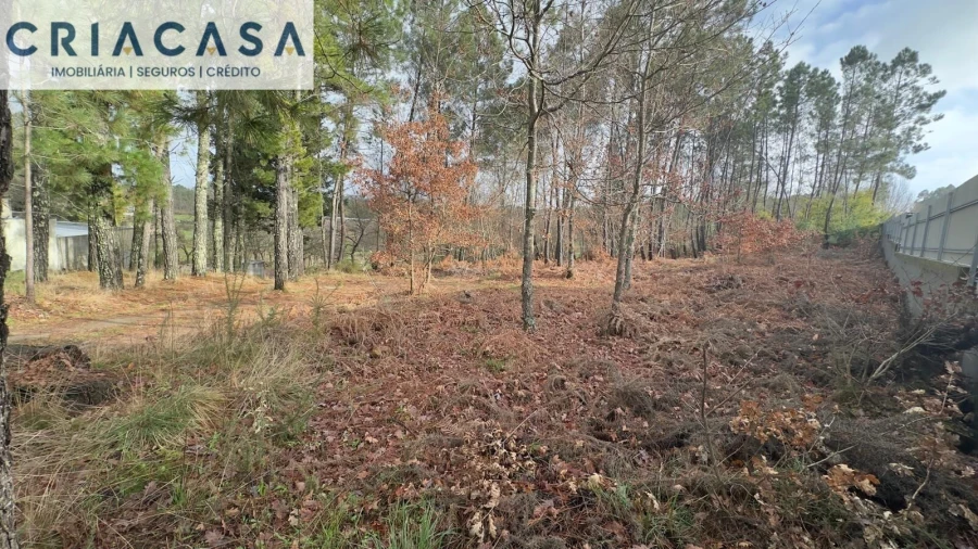 Terreno para Venda em Mundão Foto 10