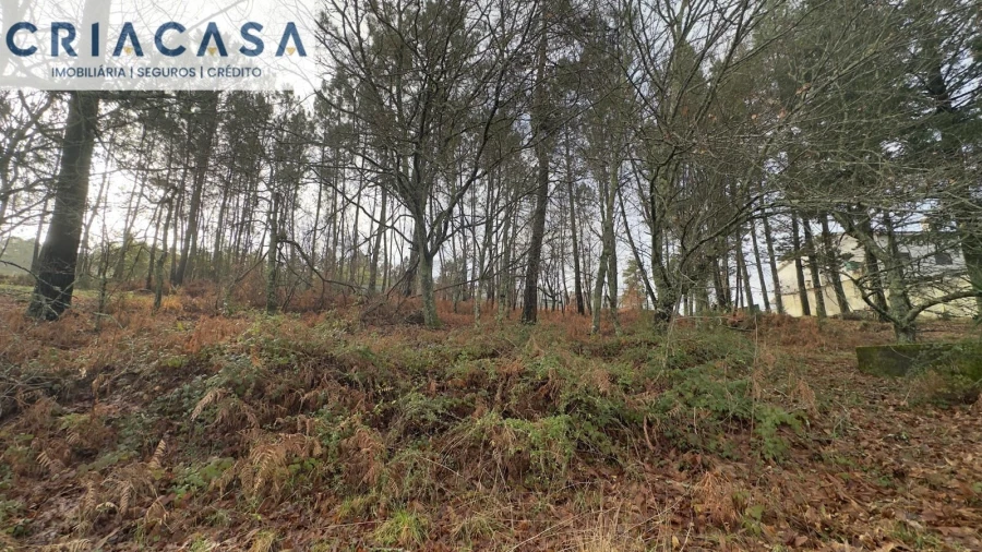 Terreno para Venda em Mundão Foto 16