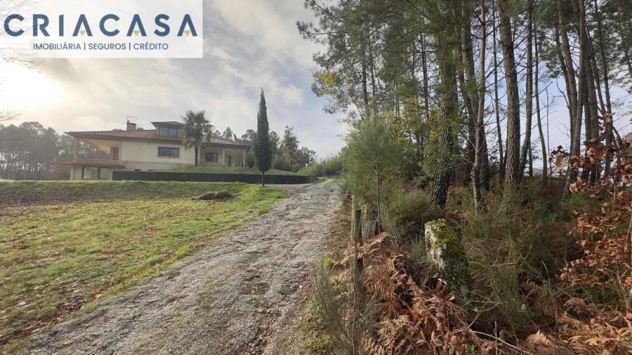Terreno para Venda em Mundão Foto 19