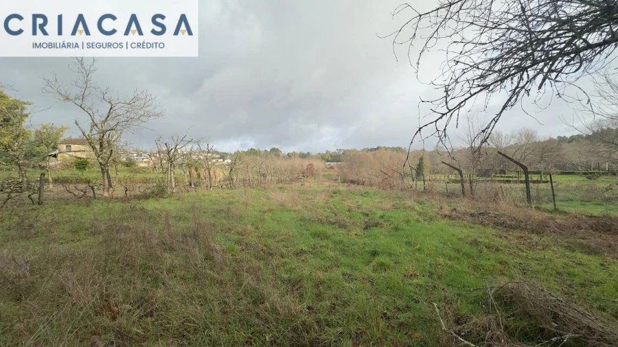 Terreno para Venda em Mundão Foto 2