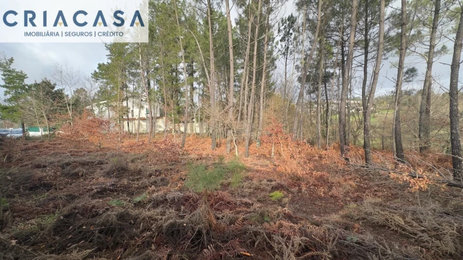 Terreno para Venda em Mundão Foto 25