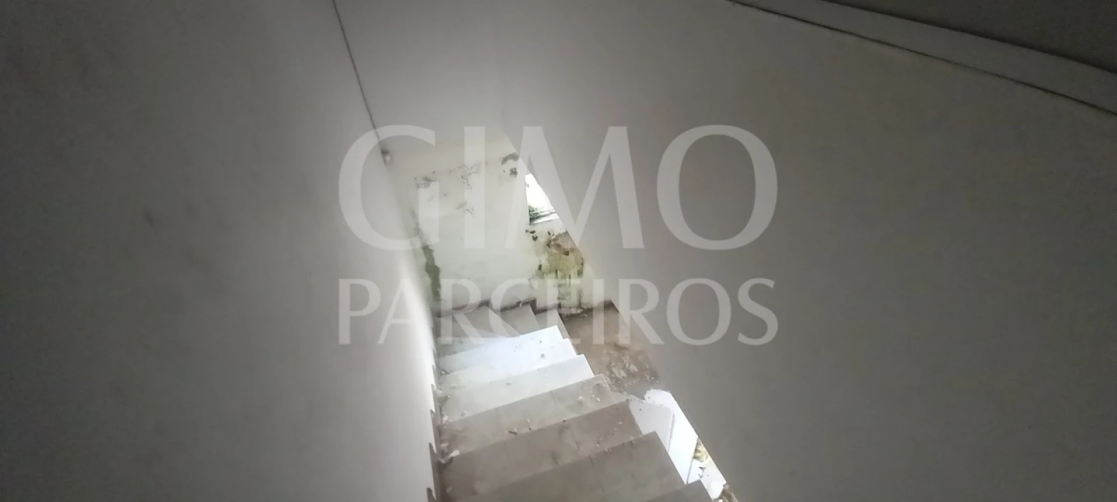 Loja para Venda em Oiã Foto 14