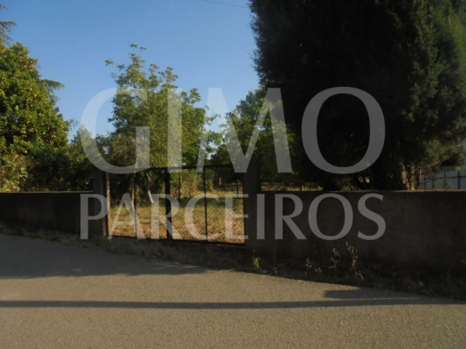 Terreno para Venda em Sangalhos Foto 4