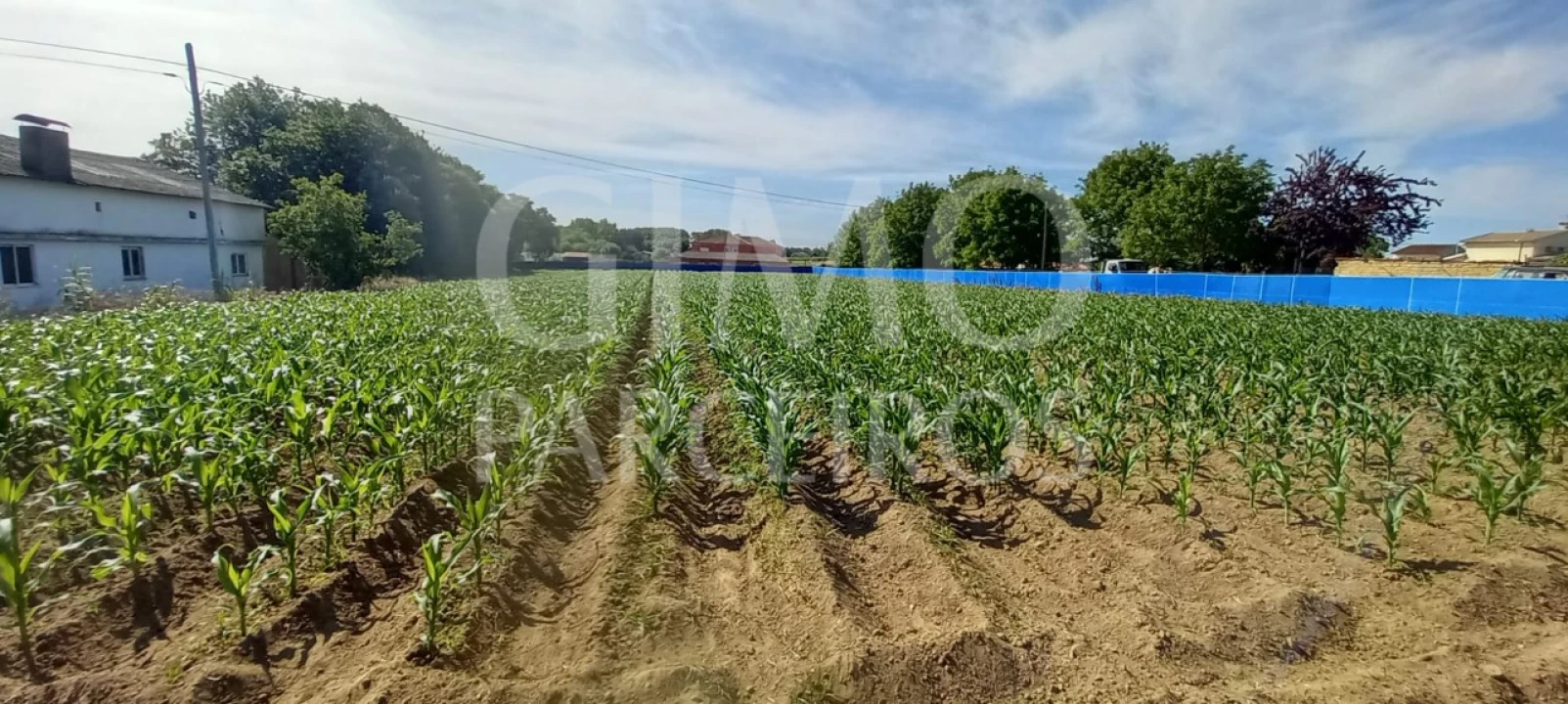 Terreno para Venda em Bustos, Troviscal e Mamarrosa Foto 2
