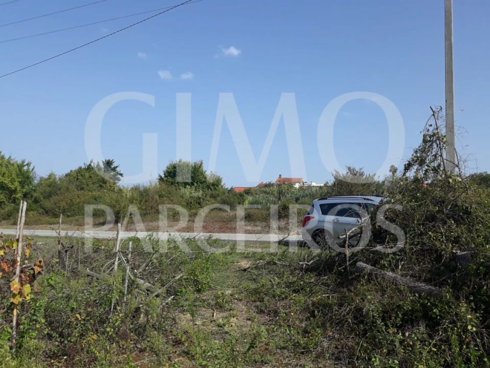 Terreno para Venda em Sangalhos Foto 14