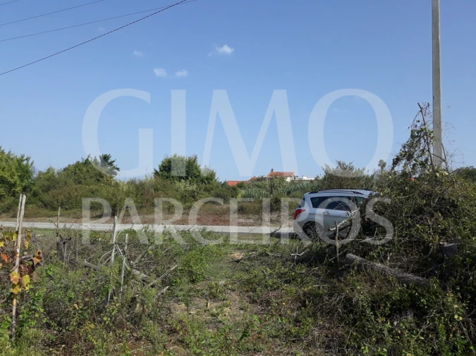 Terreno para Venda em Sangalhos Foto 14