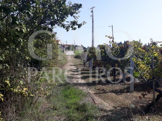Terreno para Venda em Sangalhos Foto 16