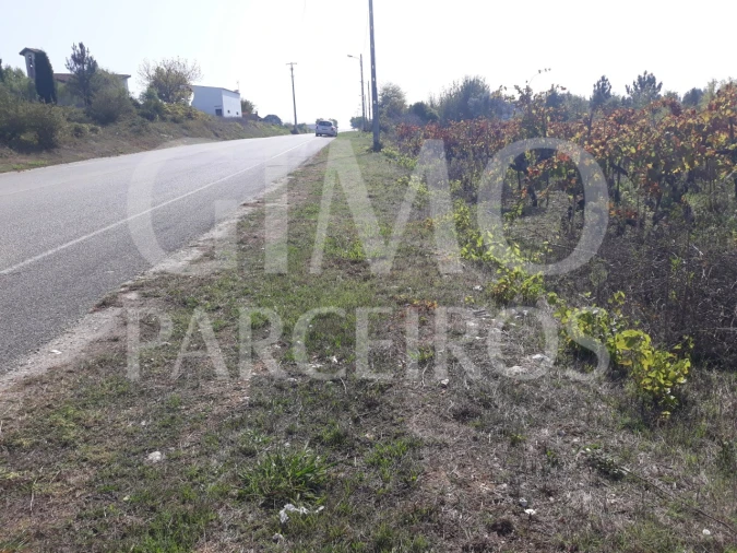 Terreno para Venda em Sangalhos Foto 18