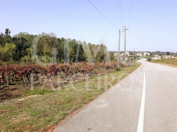 Terreno para Venda em Sangalhos Foto 26